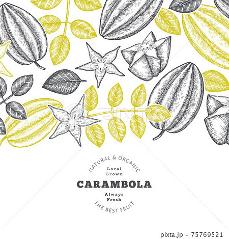 Hand drawn sketch style carambola banner. Organic fresh fruit vector illustration. Retro fruit design template Hand drawn sketch style carambola banner. Organic fresh fruit vector illustration. Retro fruit design template 75769521