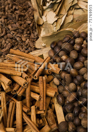 STOCK PHOTOGRAPHY IMAGES 75769955