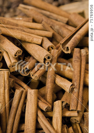 STOCK PHOTOGRAPHY IMAGES STOCK PHOTOGRAPHY IMAGES 75769956