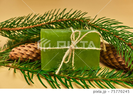 Soap with needles branches on the white background Soap with needles branches on the white background 75770245