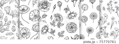 Floral pattern bundle. Flower rose dandelion magnolia seamless texture. Wild garden flowers sketch vector background set Floral pattern bundle. Flower rose dandelion magnolia seamless texture. Wild garden flowers sketch vector background set 75770761