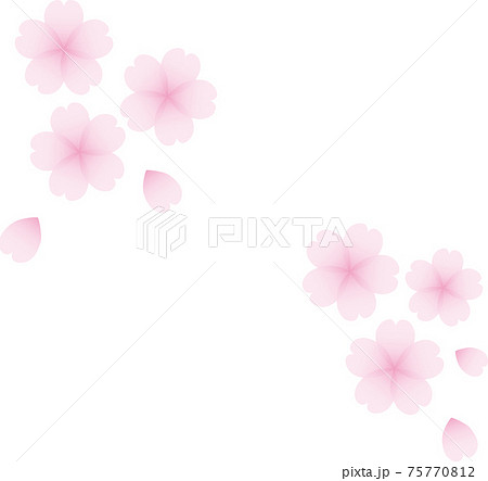 桜 sakura 桜 sakura 75770812