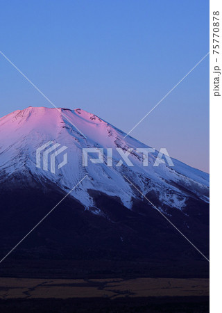 夜明け前の紅富士 75770878