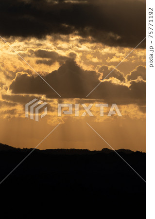 空　月　山　夜　山頂　山林　千葉県　君津市　鹿野山　山林　朝日　日の出　薄明光線　自然 75771192