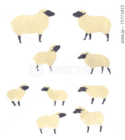 手描きの羊 75771815