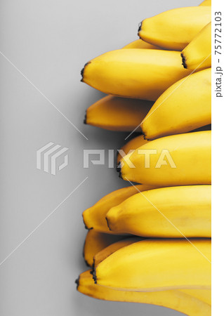 A bunch of fresh yellow bananas on a gray background in the fashionable colors of 2021 75772103