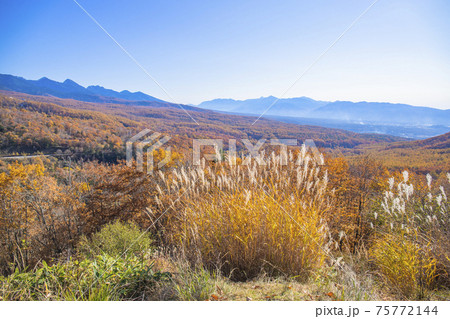 【長野県】秋の蓼科女の神展望台からの眺望 75772144