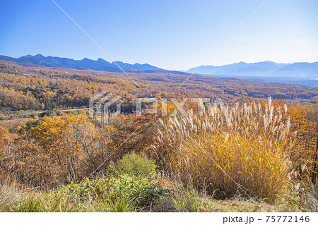 【長野県】秋の蓼科女の神展望台からの眺望 75772146