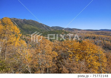 【長野県】秋の蓼科女の神展望台からの眺望 75772148