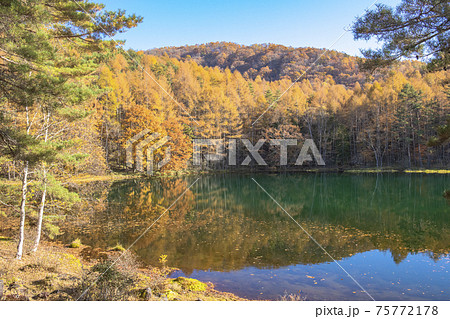 【長野県】紅葉の御射鹿池 【長野県】紅葉の御射鹿池 75772178
