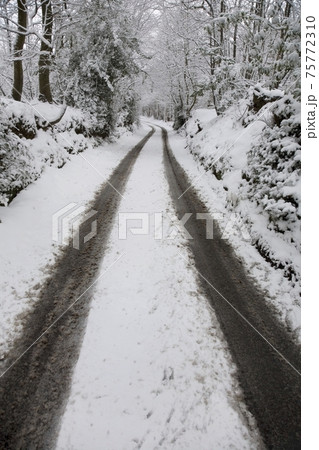 STOCK PHOTOGRAPHY IMAGES 75772310