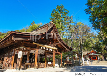 梅の名所として知られる、大縣神社〈愛知県犬山市〉 梅の名所として知られる、大縣神社〈愛知県犬山市〉 75773028