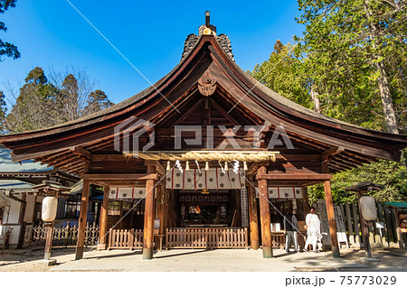 梅の名所として知られる、大縣神社〈愛知県犬山市〉 75773029