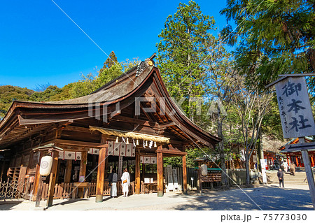 梅の名所として知られる 大縣神社 愛知県犬山市 の写真素材