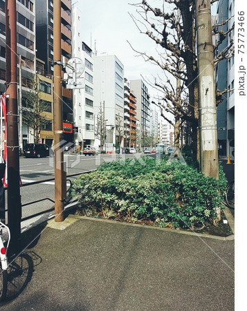 日本の 都市 都会 75773466
