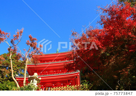 岐阜市、岐阜公園三重塔の風景 75773847