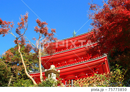 岐阜市、岐阜公園三重塔の風景 岐阜市、岐阜公園三重塔の風景 75773850