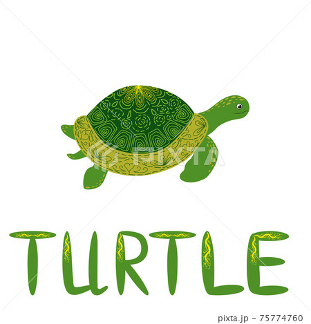 Scandinavian Style Green Turtle With Shell Hand のイラスト素材