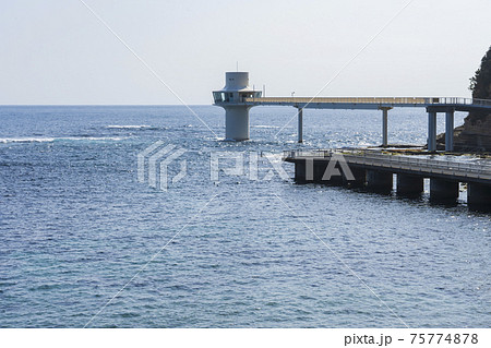 【千葉県】かつうら海中公園センター 【千葉県】かつうら海中公園センター 75774878