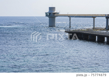 【千葉県】かつうら海中公園センター 【千葉県】かつうら海中公園センター 75774879