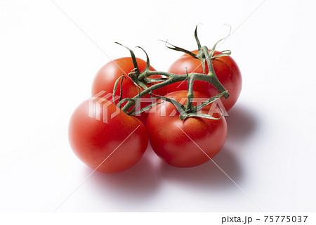 トマト とまと  トマト とまと  75775037