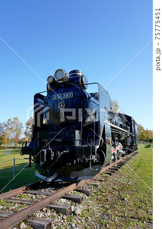 D51 D51 75775451