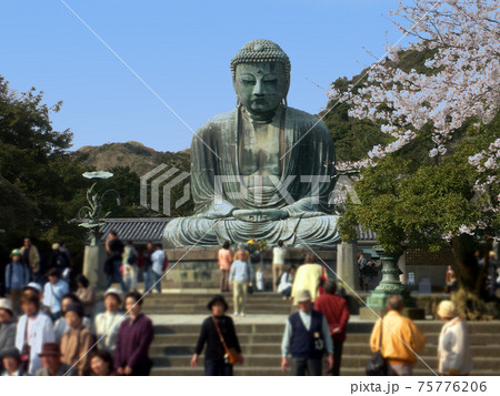 鎌倉、賑わいの春。 鎌倉、賑わいの春。 75776206