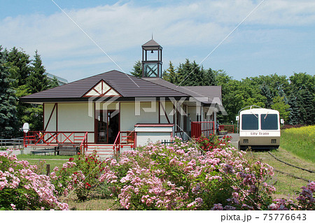 札幌花名所　百合が原公園　フラワーパーク 75776643