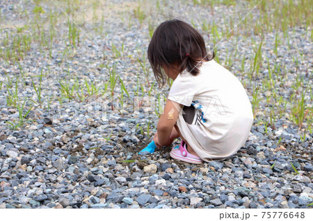 庭で穴を掘って遊ぶ女の子の後ろ姿の写真素材 庭で穴を掘って遊ぶ女の子の後ろ姿の写真素材