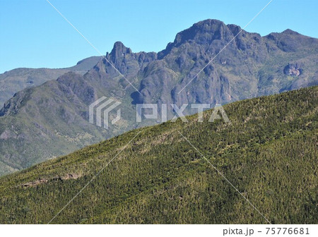 タンザニア・キリマンジャロ登山 タンザニア・キリマンジャロ登山 75776681