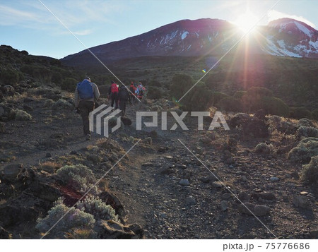 タンザニア・キリマンジャロ登山 タンザニア・キリマンジャロ登山 75776686