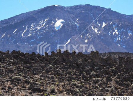 タンザニア･キリマンジャロ登山 75776689