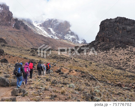 タンザニア･キリマンジャロ登山 75776702