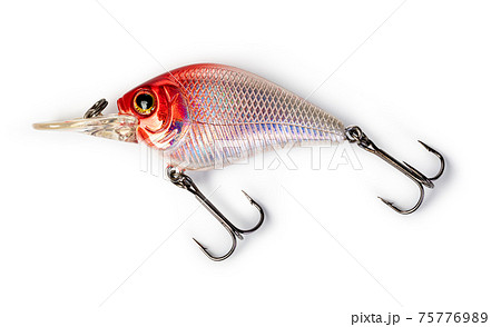 Fishing lure on white Fishing lure on white 75776989