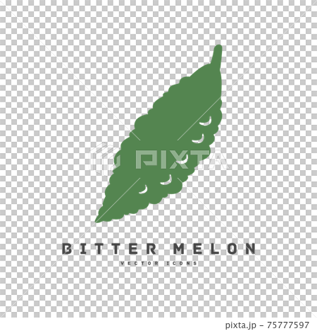苦瓜平面設計圖標說明 苦瓜平面設計圖標說明 75777597