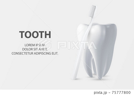 Vector 3d Realistic Toothbrush and Tooth Closeup Isolated on White Background. Medical Dentist Illustration. Design Template, Clipart, Mockup. Dental Health Concept 75777800