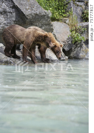 STOCK PHOTOGRAPHY IMAGES STOCK PHOTOGRAPHY IMAGES 75777817