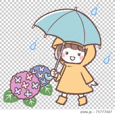 傘をさす女の子と紫陽花 75777887