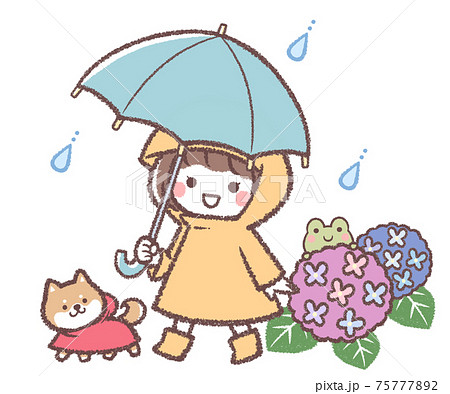 傘をさす女の子と紫陽花と柴犬 75777892