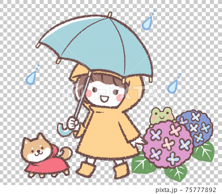 傘をさす女の子と紫陽花と柴犬 75777892