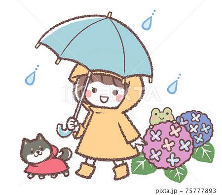 傘をさす女の子と紫陽花と黒柴犬 75777893