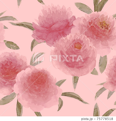 Watercolor pink peonies flowers. Beautiful floral seamless pattern. 75778518