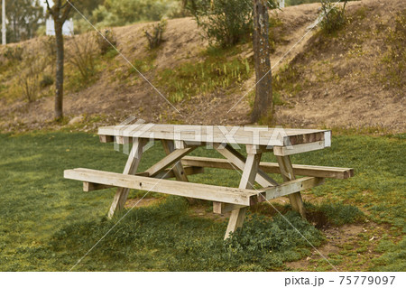 Wooden table for picnics in an outdoor park Wooden table for picnics in an outdoor park 75779097