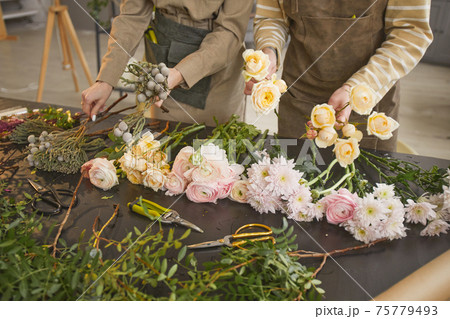 Young Women Creating Compositions in Flower Shop Young Women Creating Compositions in Flower Shop 75779493