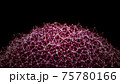 ピンクのネットワークイメージ	 75780166