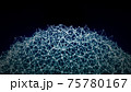 青のネットワークイメージ 75780167