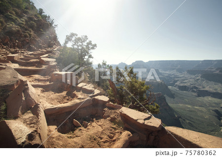 canyon 75780362