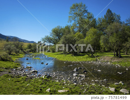 Landscape. Green glade on the river bank. Landscape. Green glade on the river bank. 75781499