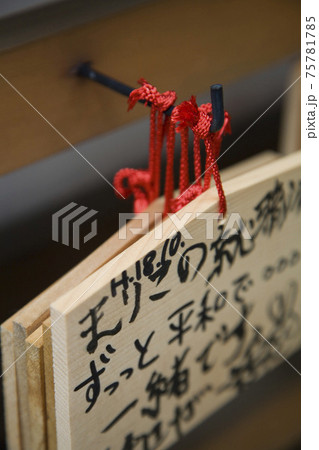 STOCK PHOTOGRAPHY IMAGES STOCK PHOTOGRAPHY IMAGES 75781785