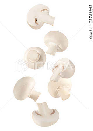 Flying fresh champignon mushrooms on white background Flying fresh champignon mushrooms on white background 75781945